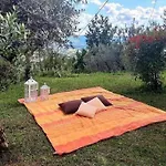 Casa Benucci Oliveta Tuscany Semesterbostad *