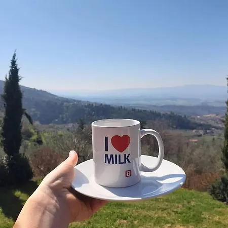 Casa Benucci Oliveta Tuscany