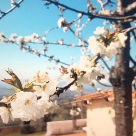 Casa Benucci Oliveta Tuscany Feriehus Pulicciano