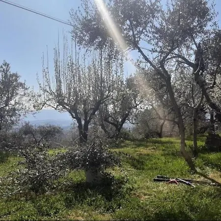 Casa Benucci Oliveta Tuscany Feriehus Pulicciano