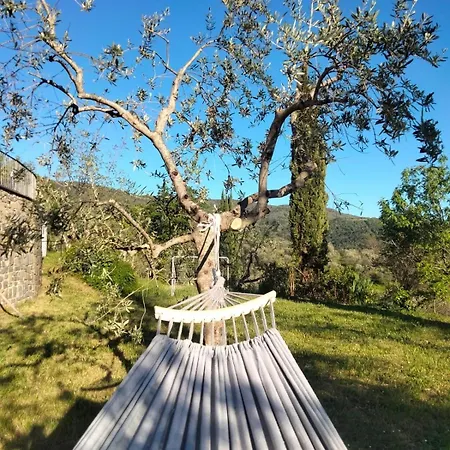 Casa Benucci Oliveta Tuscany * Pulicciano